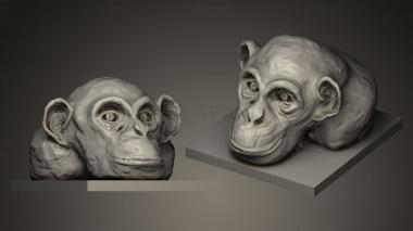 3D модель Голова обезьяны (STL)